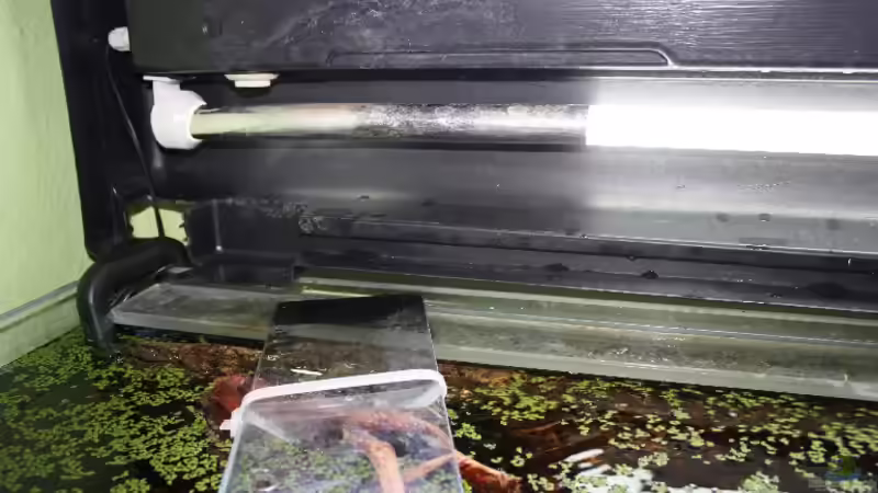 Meine beiden Röhren,die hintere mit Alufolie ein Stück abgedunkelt ! von Florian Bandhauer (50)