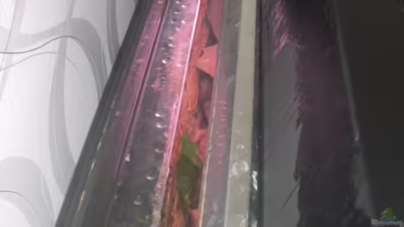 Meine Beleuchtung. von Kai Pragal (16)