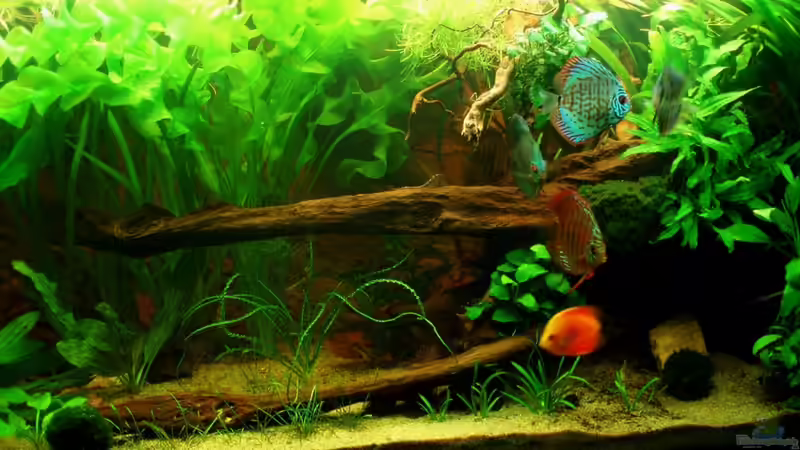 meine Disken am 22.05.11 von ~Marco~ (58)