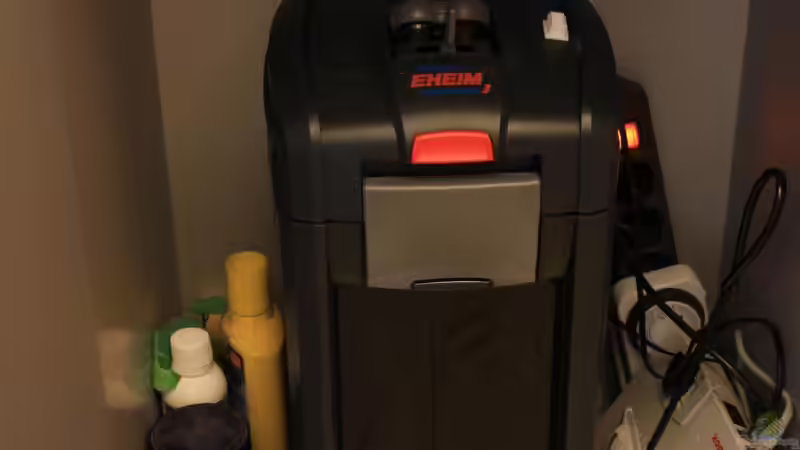 Meine Eheim Aussenfilter von Sebastian Wolff (6)