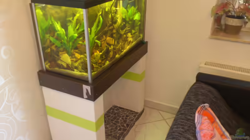 meine Freundin hat das passend zur Wohnung gestrichen. sie möchte erwähnt werden :) von Markus J. (6)