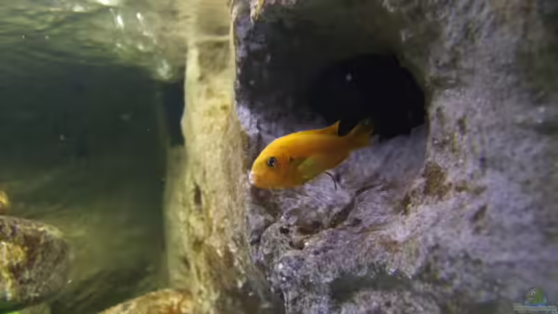 meine höhle !!! von wadde (62)