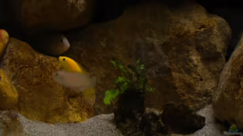 Meine Höhle!!! von Herki (25)