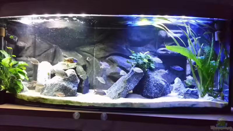 Meine kleine Malawi Welt von Udo Lehr (1)