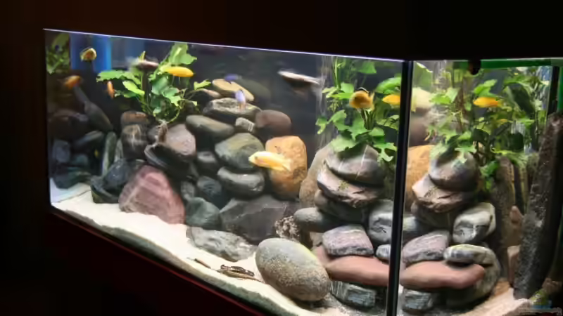 Meine kleine Malawiwelt (von rechts) von lützkopf (2)