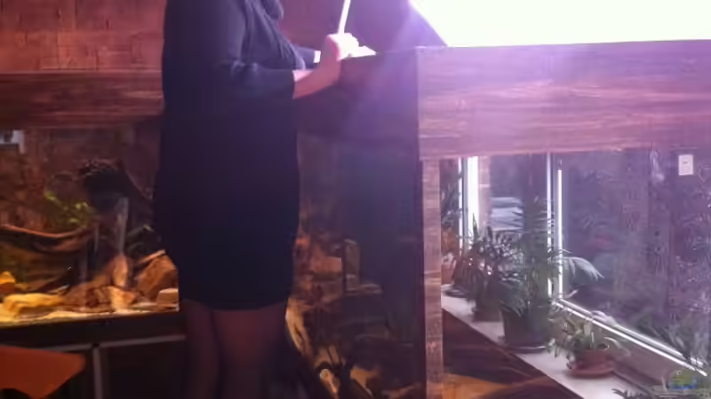 Meine kleine ´Tierpflegerin´. Sie kümmert sich um alles, wenn ich beruflich unterwegs von GGuardiaNN (28)