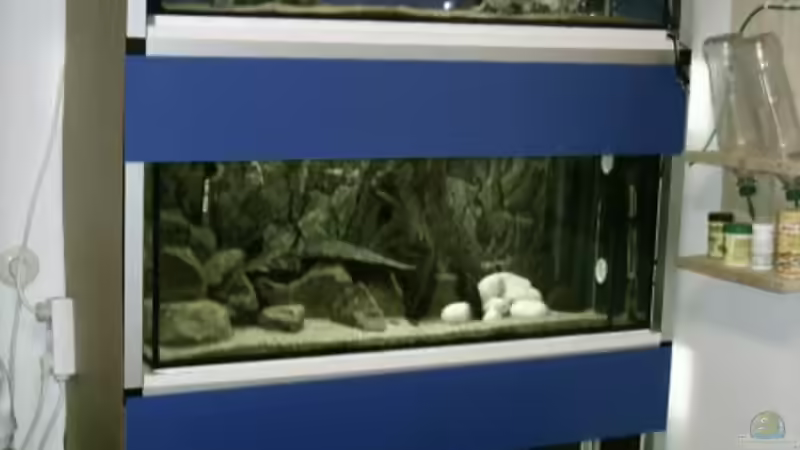 meine kleine Zuchtanlage von Bernd Ramsdorf (5)