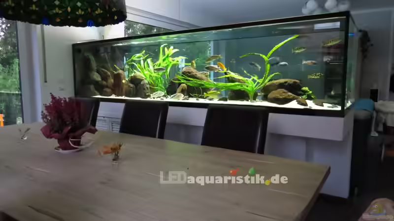 Meine LED-Beleuchtung - stromsparend, leistungsstark, naturnah, bezahlbar