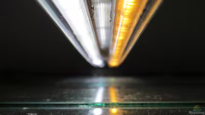 Meine LED-Beleuchtung - stromsparend, leistungsstark, naturnah, bezahlbar