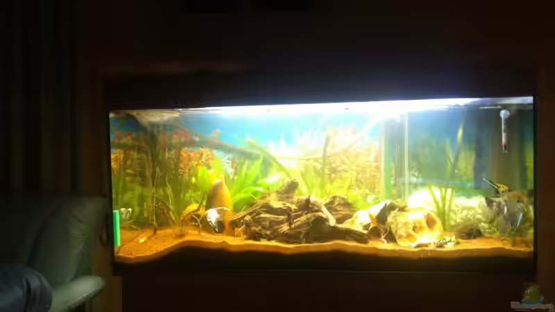 Meine LED Beleuchtung da der Balken nicht mehr so Wollte  von Alexander Alexander (11)