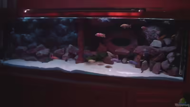 Meine Malawiwelt von Frank Hopp (1)