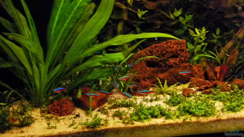 Meine Neons ;-) von schluenkes (12)