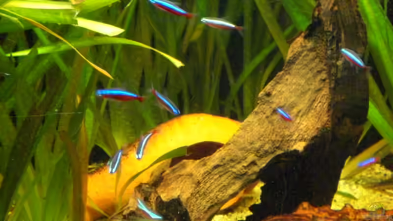 Meine Neons von Matthias Hage (12)