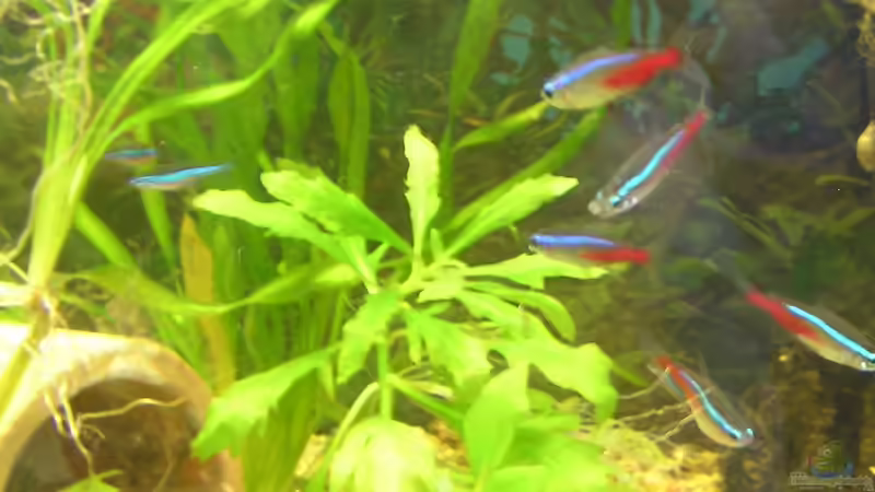 meine Neons von Patrick Huber (1)