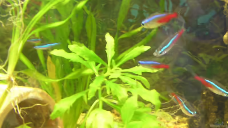 meine Neons von Patrick Huber (6)