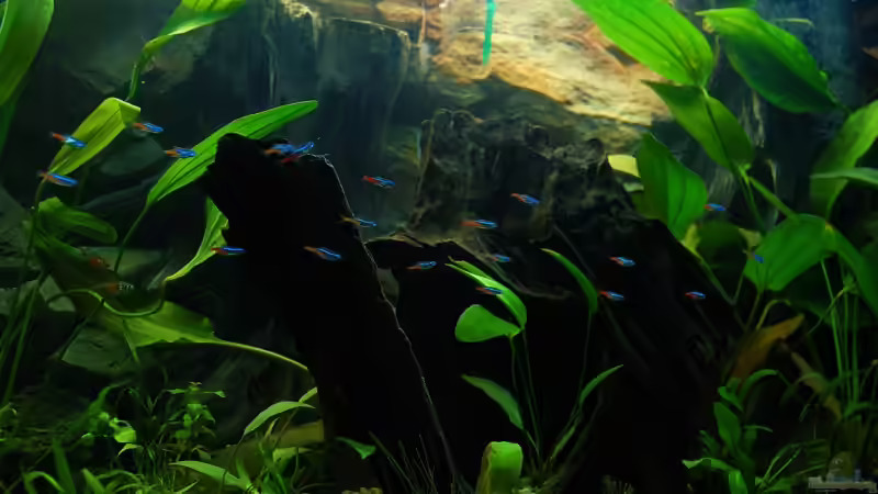 Meine Neons von Torsten Märtke (3)