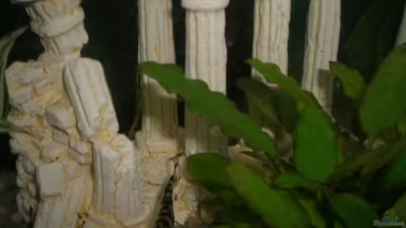 meine Netzschmerle von ninimuckel (7)