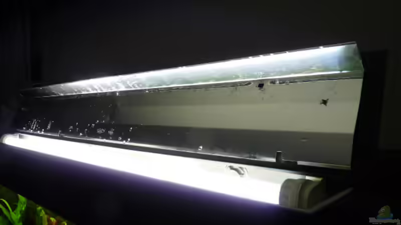 meine neuen Reflektoren bringen eine sichtbar bessere Lichtausbäute von Pogobeer (20)