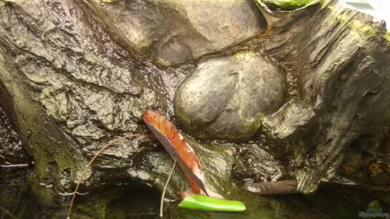 Meine Rückwand bei halb abgelassenen Becken von Dimi Georgomanos (3)