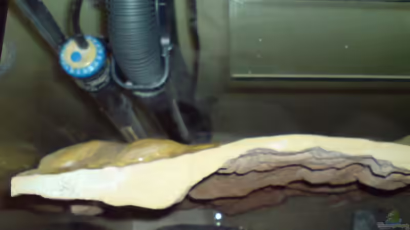 Meine Rückwand von hinten von Dommsel (18)