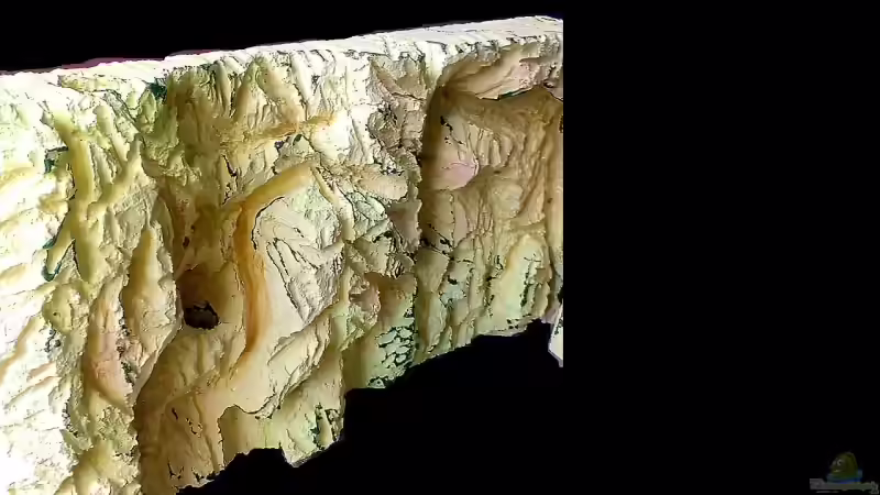 Meine Rükwand von Dennis Klusmann (12)