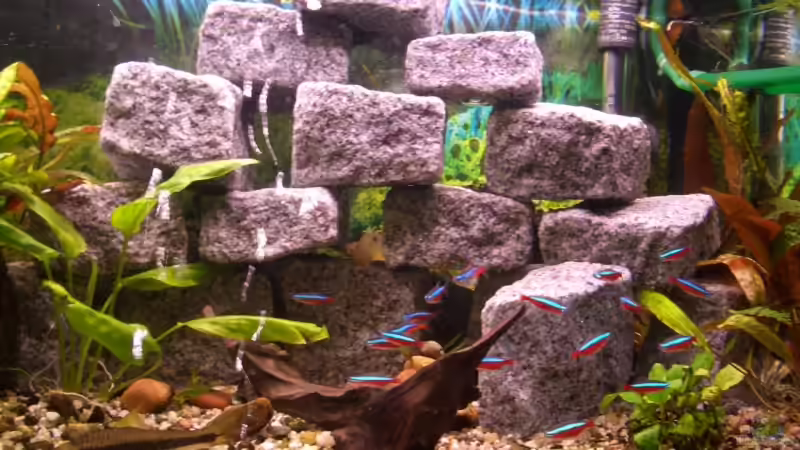 Meine selbs entworfene Granitsteinmauer von Daniel (6)