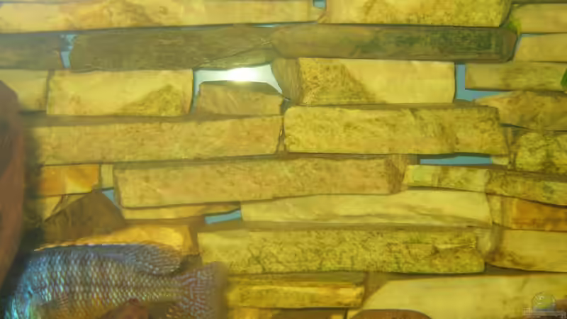 Meine selbstgebaute Rückwand ( sry für das hässliche bild :p aber wo die Blauen von Markus Hoffman (9)