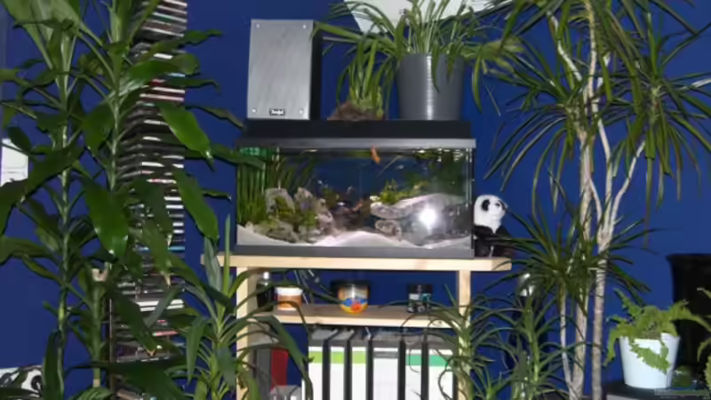 meine Uni-Tropeneck von Stefan Anhalt (4)