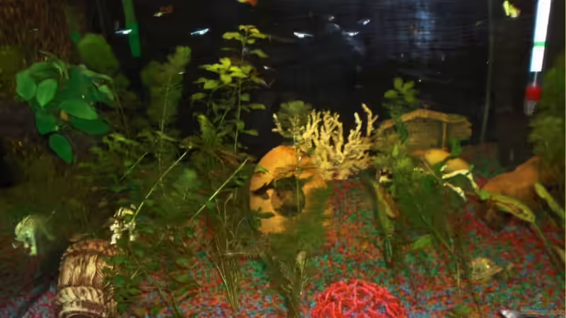 Meine unterwasser landschaft