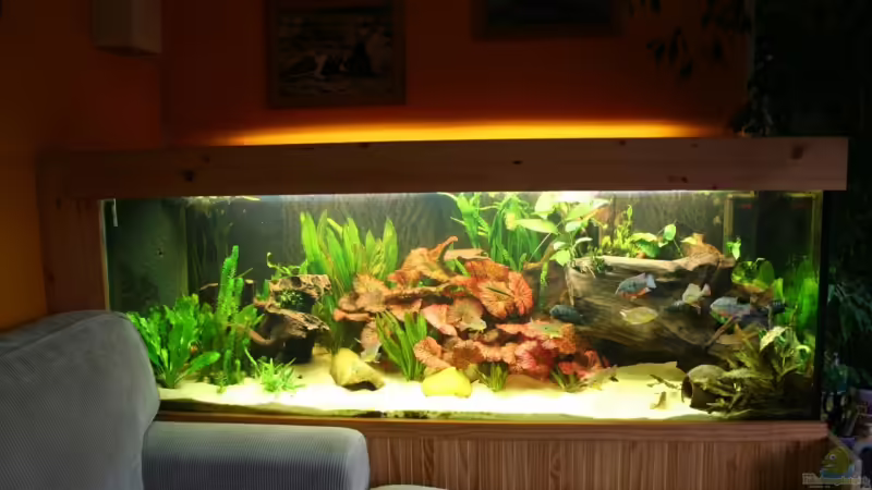 meine Unterwasserwelt von Minzi (1)