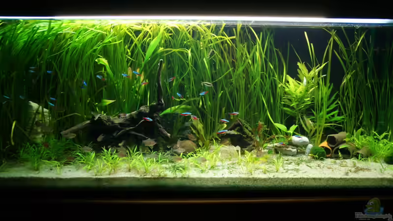 meine Unterwasserwelt