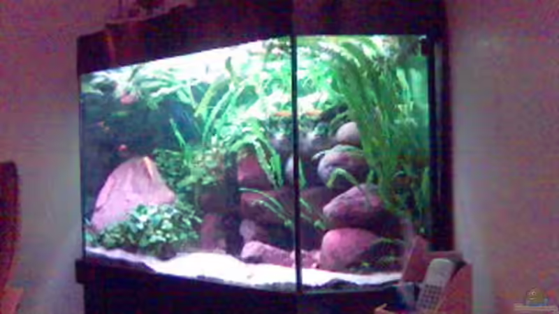 Meine vorherige Einrichtung, auch nicht mehr Steine von axxlon (2)