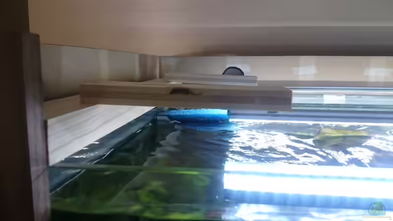 Meine vorrübergehende provisorische LED Halterung ;) von GonZo (18)