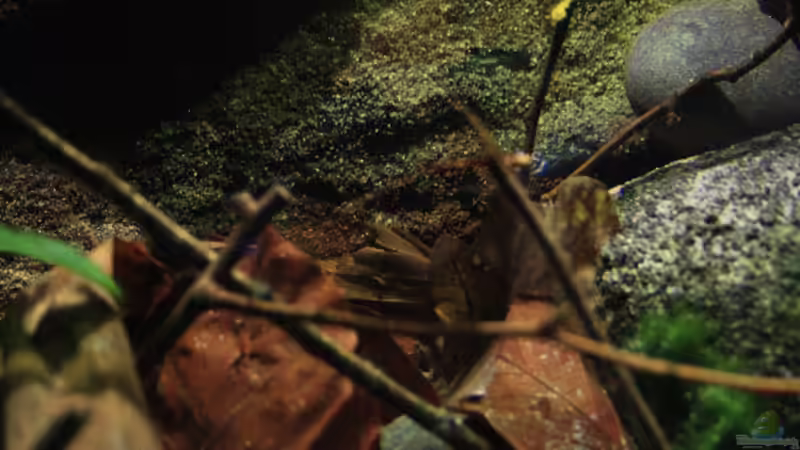 Meine Welt des Westafrica hier Eindrücke .. von Florian Bandhauer (15)