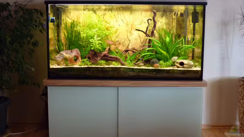 Meine Wohnzimmerdeko von MaTrou (1)