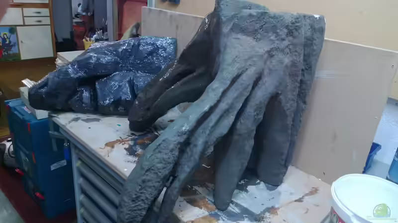 Meine Wurzelrückwand 2tes Projekt von Trooper (39)