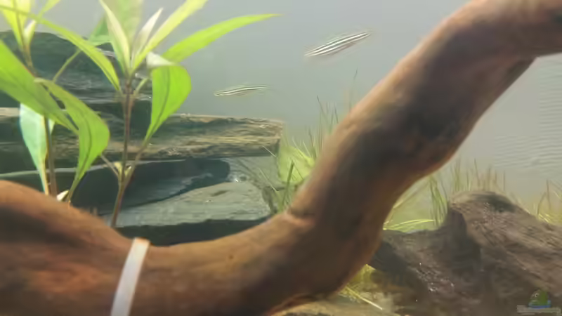 meine Zebras waren leider schneller als der Auslöser :-) von SvenDerGroße (10)