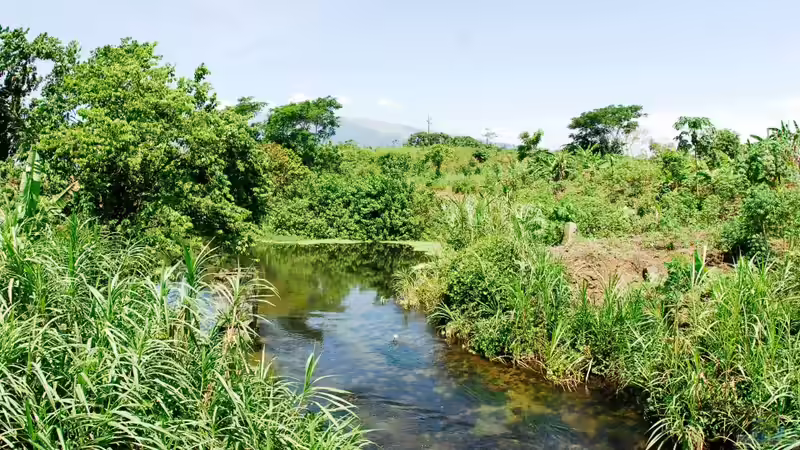 Menja River über Wasser , Bild mit freundlicher Genehmigung von Michel Keijman von Didi (2)