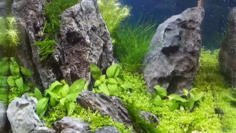 Messe Becken Heimtiermesse Magdeburg 5.4.13 von Marcel Reiter (1)