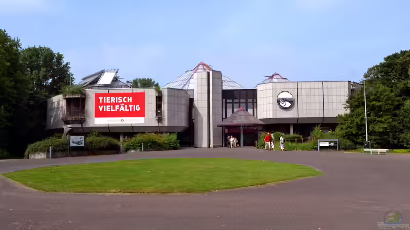 Mich@ on Tour: Ein Besuch im Düsseldorfer Aquazoo Löbbecke Museum