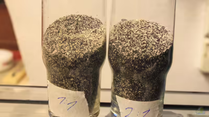 Michschungsverhältnisse,,, von Borg (10)