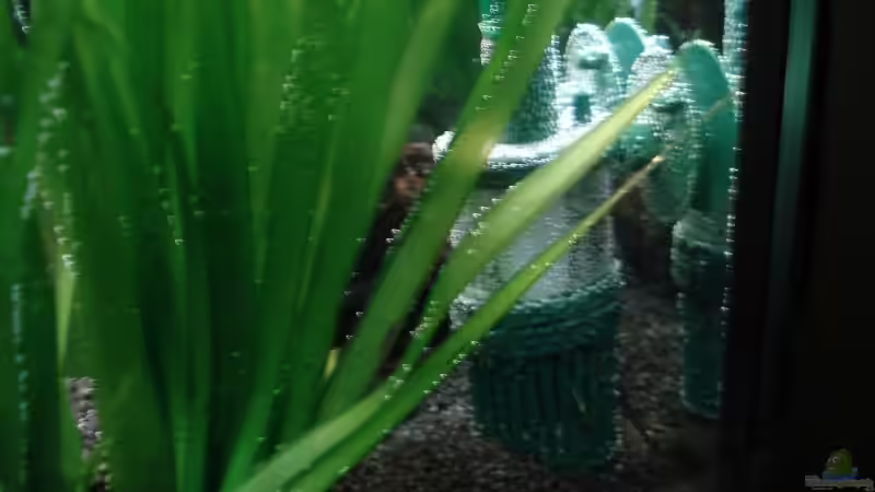 Micro Perler Spezial am 12.11.09 von Picard (9)