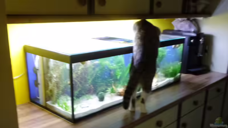 Mietz von raubsau (5)