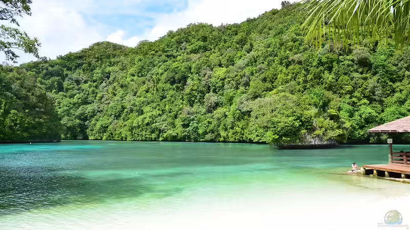 Mikronesien: Ein Paradies für Aquarianer und Naturfreunde