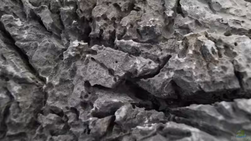 Mini-Landschaft (Seiryu rock) von Guido Seifert (28)