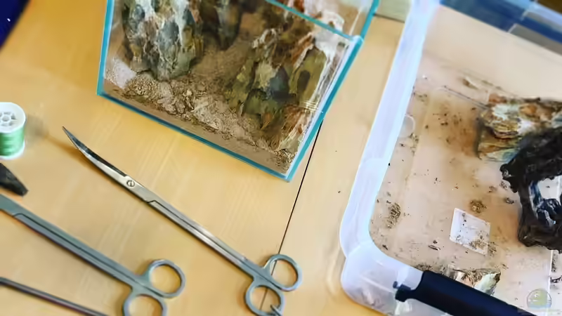 Mini Scape - Der Anfang von DiskusMummy (7)