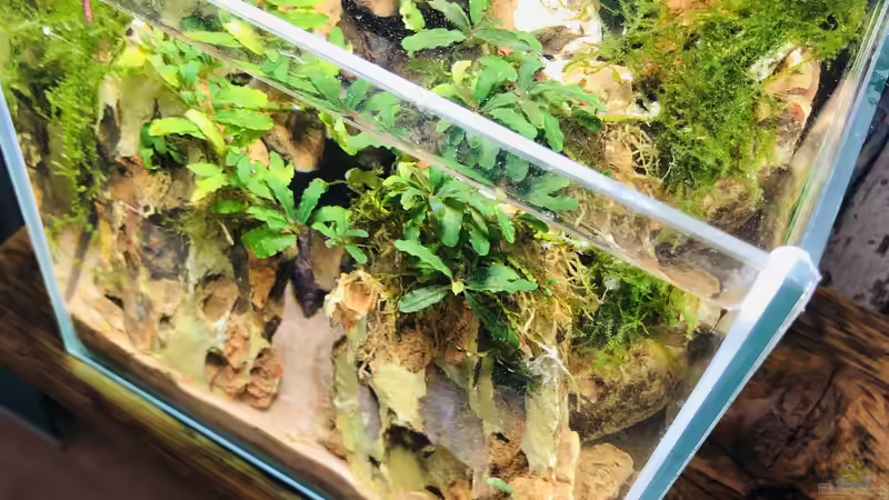 Mini Scape ´Lonley Montain - Erebor´ von DiskusMummy (2)