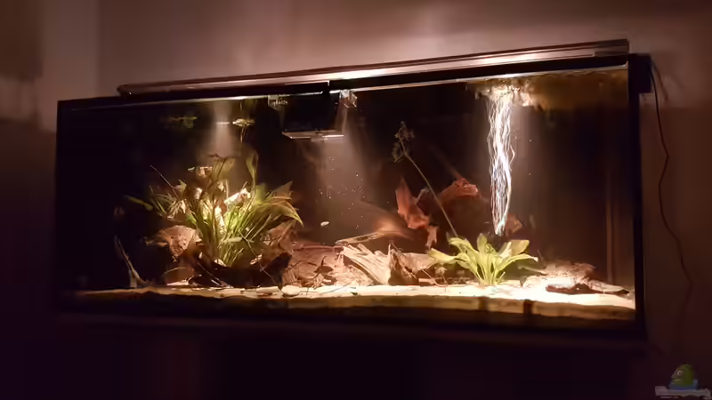 Minimale Beleuchtung (3 x 1,5W) von naturalR (5)