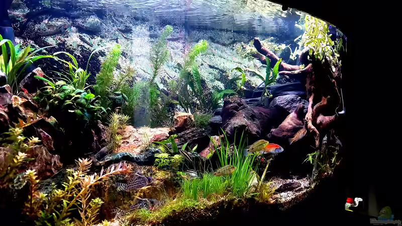 Minimale ??nderungen der pflanzen von Sven Schaefer (4)