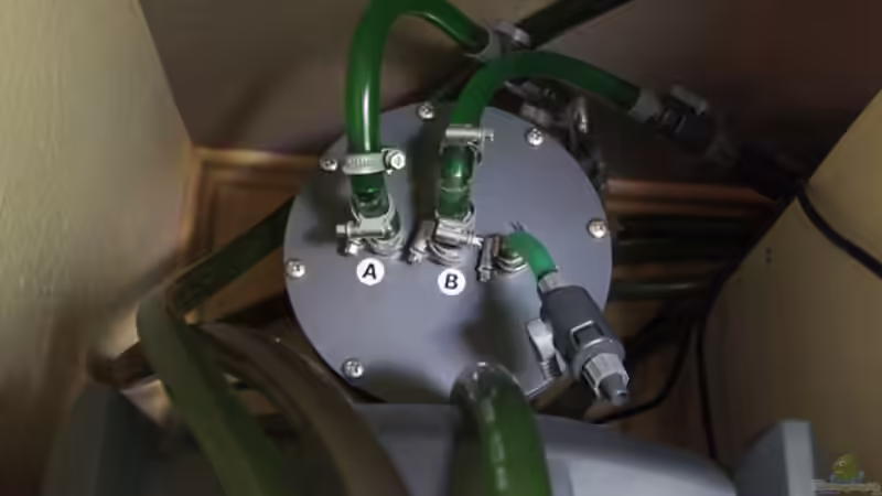 Minionic Nitrat- / Phosphatfilter 5L im Bypass von Maswa (5)